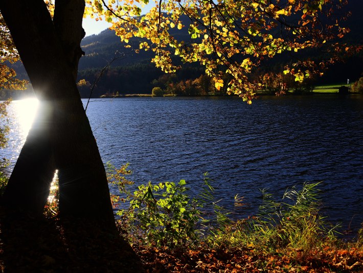 Stallauer Weiher, © Hirz