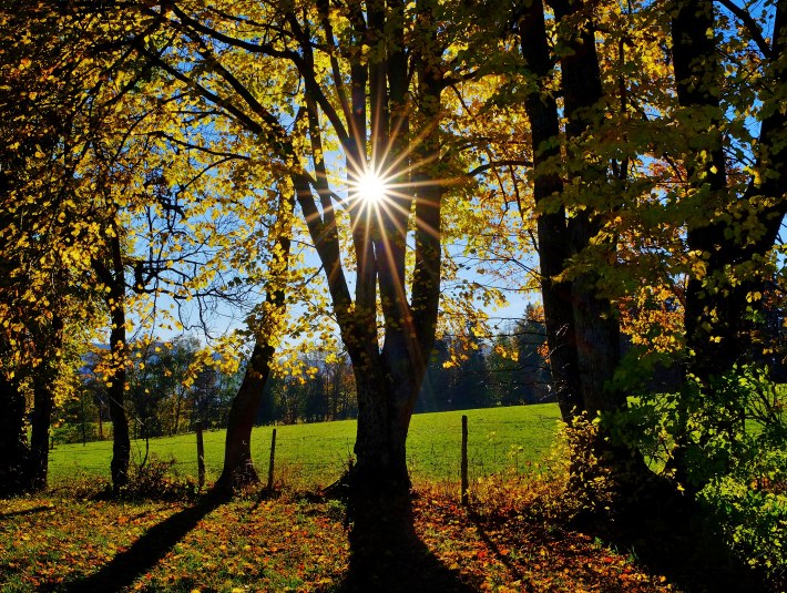 Herbstwald, © Hirz
