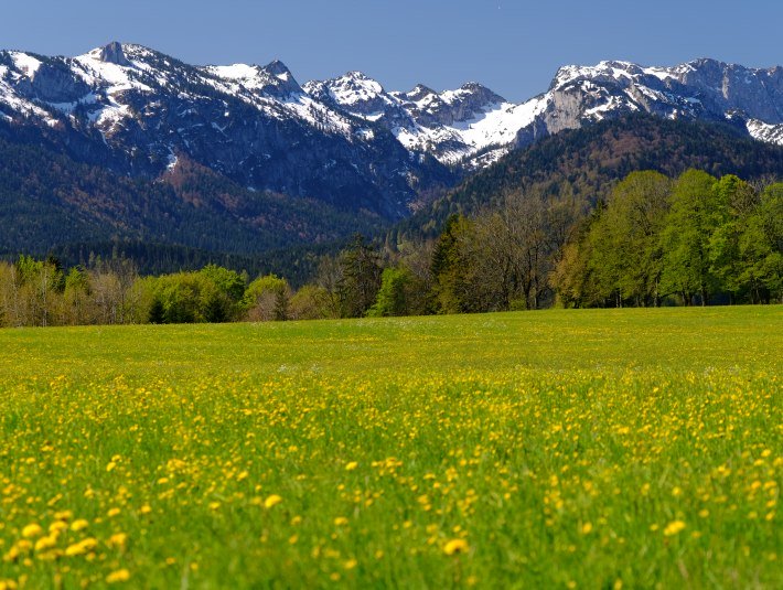 Bergblick, © Foto Hirz