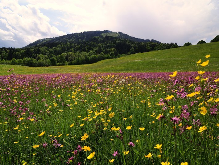 Landschaft, &copy; Hirz
