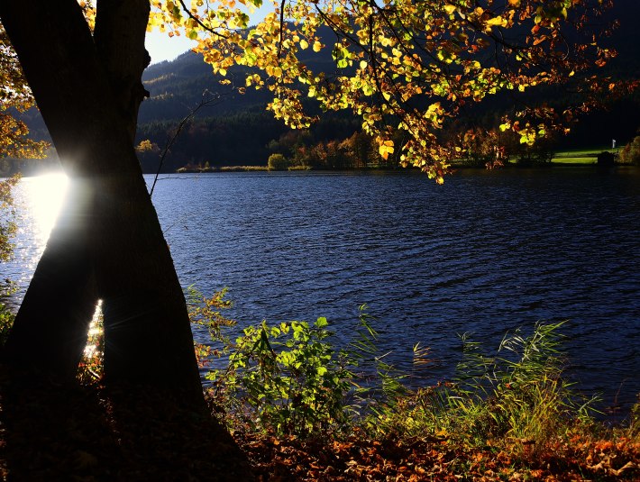 Stallauer Weiher, &copy; Hirz