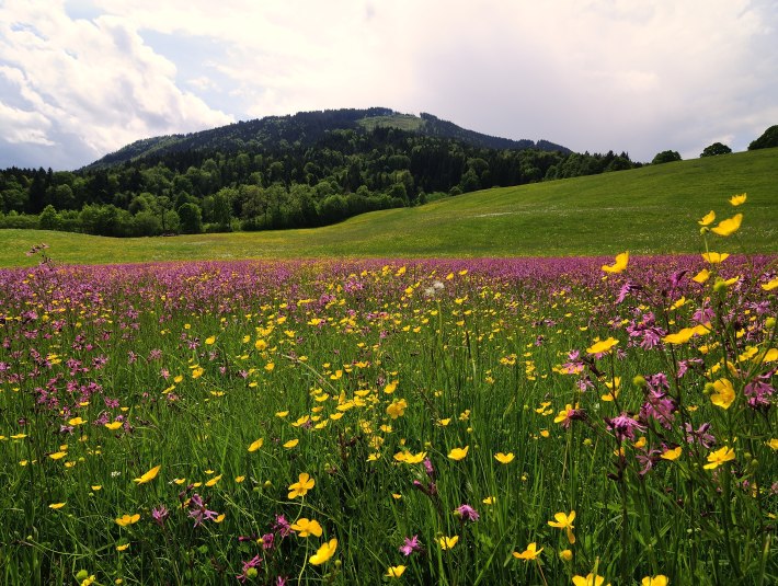 Landschaft, © Hirz