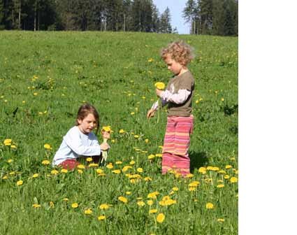 Albert-Schweitzer-Waldkindergarten