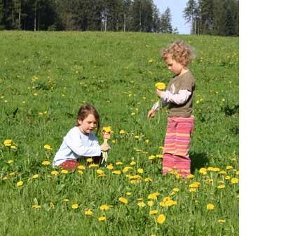 Albert-Schweitzer-Waldkindergarten
