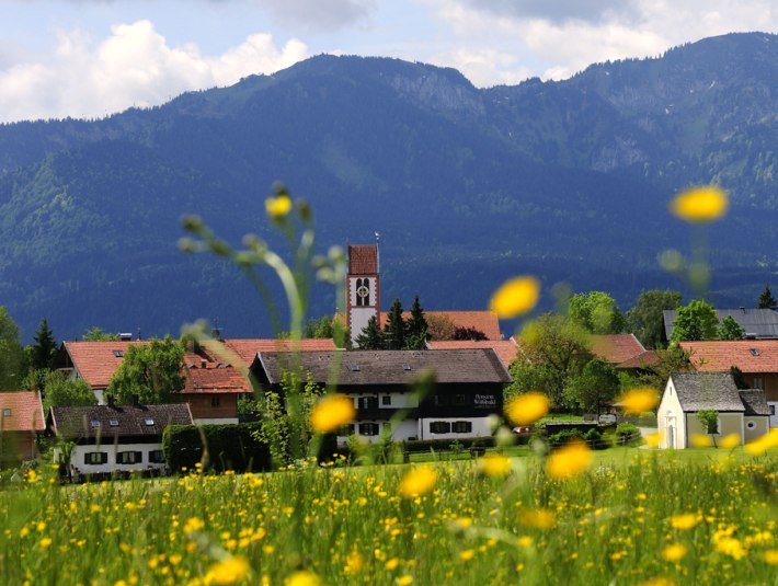 Blumenwiese, &copy; Hirz